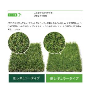 人工芝 CTR30 芝糸タイプ約30mm 1m...の詳細画像4