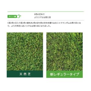 人工芝 CTR30 芝糸タイプ約30mm 1m...の詳細画像5