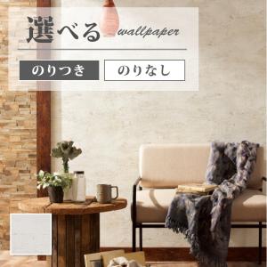 サンゲツ（SANGETSU） FE76664 壁紙 石目調 アクセント ナチュラル