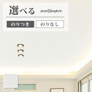 サンゲツ（SANGETSU） FE76498 壁紙 ホワイト系 白系 賃貸 補修 天井に