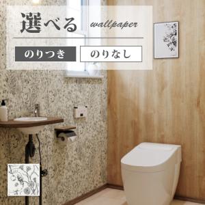 サンゲツ（SANGETSU） FE76381 壁紙 ホワイト系 フィルム汚れ防止