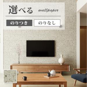 サンゲツ（SANGETSU） FE76655 壁紙 コンクリート調 グレー系 モダン