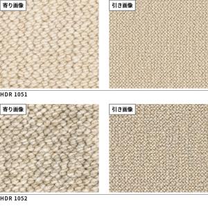 サンホリデーII ロール巾364cm巾 サンゲ...の詳細画像1