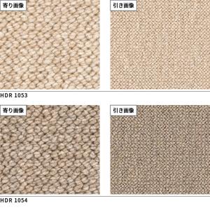 サンホリデーII ロール巾364cm巾 サンゲ...の詳細画像2