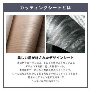 送料無料 ダイノックシート 黒 粘着シート リ...の詳細画像2