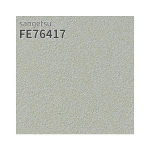 サンゲツ（SANGETSU） FE76411 壁紙 コンクリート調 グレー系 スーパー