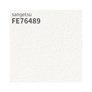 サンゲツ（SANGETSU） FE76488 壁紙 ホワイト系 ベーシック 天井 賃貸