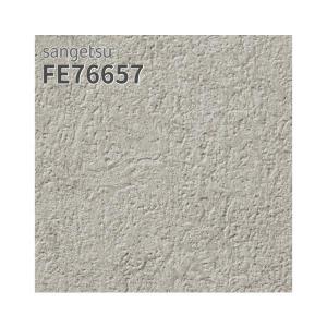 サンゲツ（SANGETSU） FE76658 壁紙 コンクリート調 ウレタンコート
