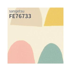 サンゲツ（SANGETSU） FE76729 壁紙 scion サイオン 幾何学 個性的