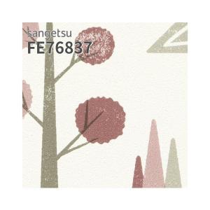 サンゲツ（SANGETSU） FE76838 壁紙 北欧 カジュアル ルームエアー 消