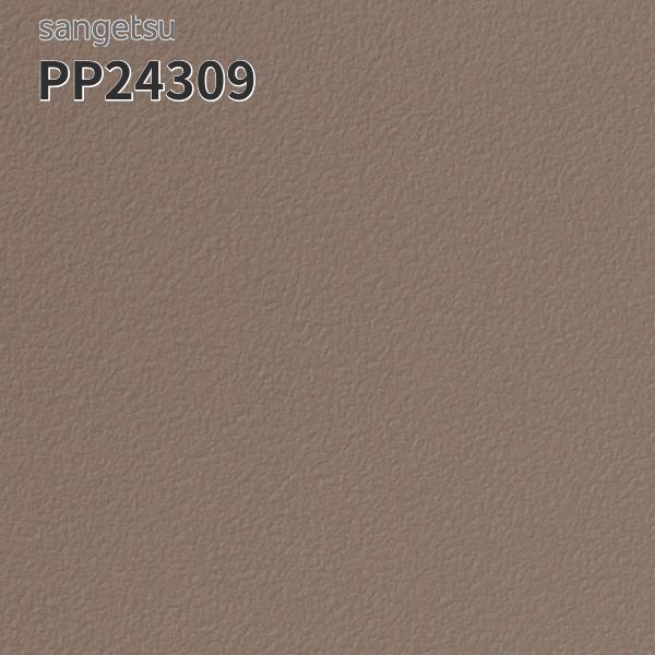 PP24309 サンゲツ 長尺シート 防滑シート 182cm巾 2mm厚 エスリューム プレーン