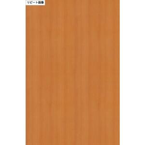 TC-4282 サンゲツ リアテック カッティ...の詳細画像1
