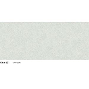 XR-647 壁紙 石目調 ブルーグレー系 北...の詳細画像1
