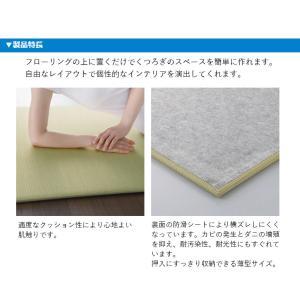 【8月7日から16日出荷不可】置き畳 大建 ダ...の詳細画像5