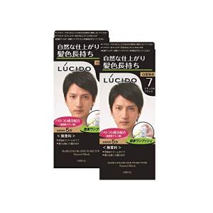 ルシード メンズヘアカラー 白髪染めの商品一覧 メンズヘアケア コスメ 美容 ヘアケア 通販 Yahoo ショッピング
