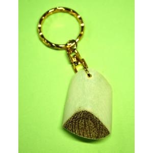 【ピラルクのウロコ Mサイズ 1個】世界最大級の淡水魚でとても希少なピラルクのウロコのキーホルダー ...