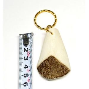 ピラルクのうろこ ピラルクのウロコ XLサイズ 1個】世界最大級の淡水魚でとても