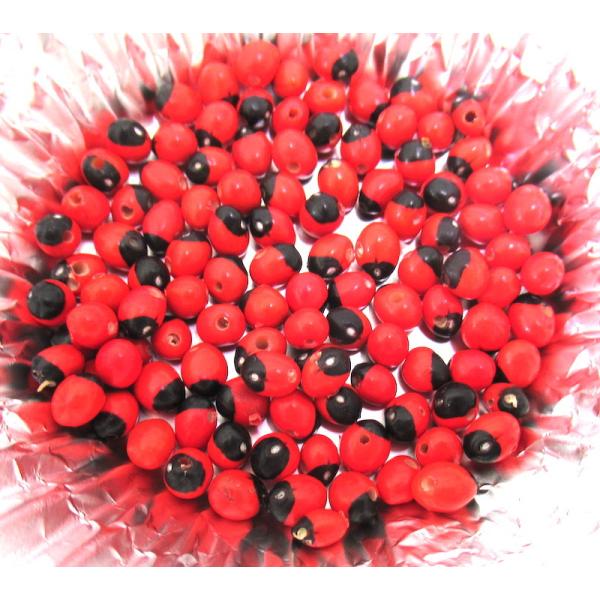 【HUAIRURO BEADS 10g】【ワイルーロの実ビーズ】【穴あり】南米ペルーのお守り ワイル...