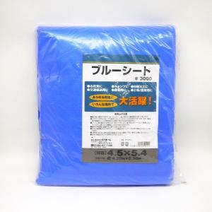 数量限定】【値下げ】ブルーシートCN 10.0×10.0m ブルー（10.0×10.0m
