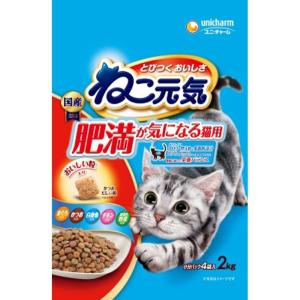 Mog Wan（モグワン） モグニャン キャットフード 1.5kg : BRハウス
