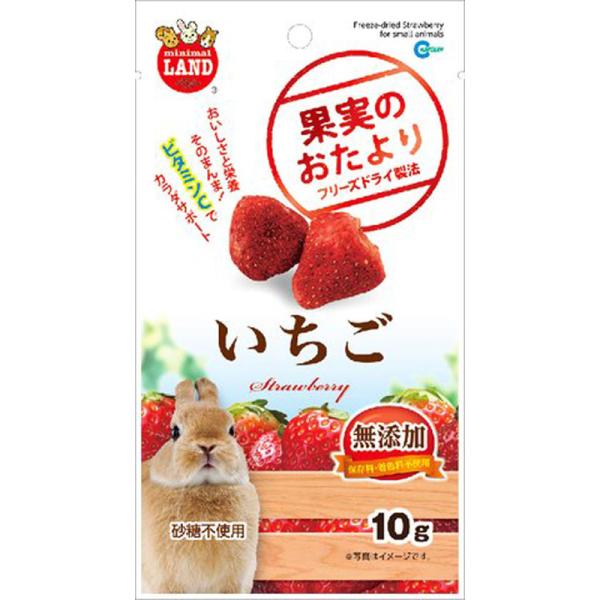 マルカン　果実のおたより　いちご　10ｇ  ペット 小動物用品 おやつ ビバホーム