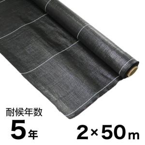 ヒメイワダレソウ ポット苗 専用防草シート(2m×10m)U字ピン（50本付