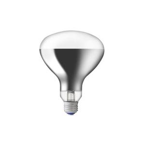 IWASAKI 岩崎電気省電力形屋外投光器用ランプ RF220V450WH 岩崎電気 岩崎 屋外用レフランプ 散光形 RF110V450WH 500W形 E39口金