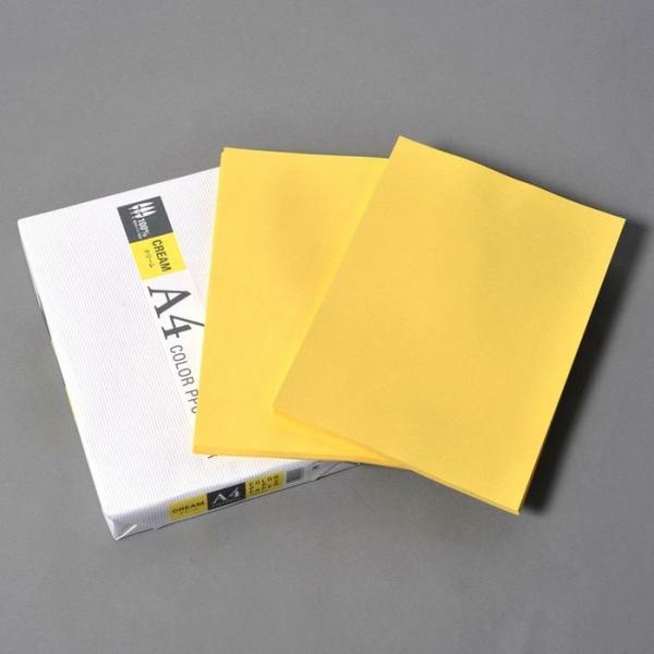 ＡＰＰ　カラーＰＰＣ用紙　Ａ4 （500枚入り） A4 クリーム ビバホーム