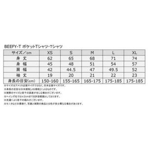 ヘインズ hanes BEEFY T-SHIR...の詳細画像2