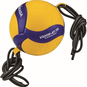 MIKASA（スポーツ） ミカサ バレー トレーニングボール 5号球
