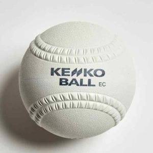 ミズノ MIZUNO ナガセケンコー ゴム・ソフトボール 検定12インチ(1ダース) ソフトボール ボール 試合球 (16JBS56300)