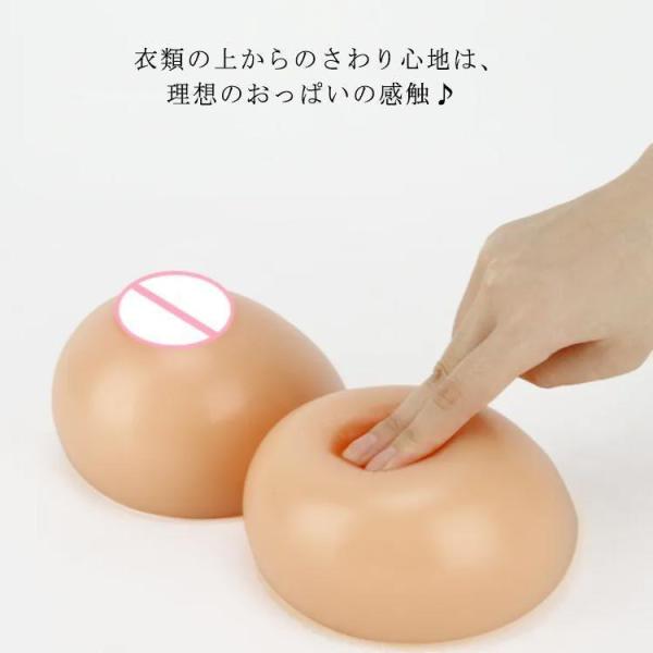 リアルシリコンおっぱい Dカップ 1200g×2 バストアップ 人工乳房 おっぱい バストアップ 豊...