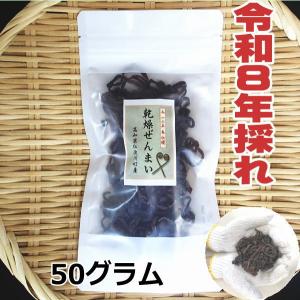 【送料無料】　高知県仁淀川町産　乾燥ぜんまい　50g　2026年採れ