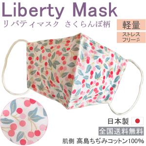 布マスク 日本製 大きめ 大臣マスク 折り返し 舟形 洗える おしゃれ 夏