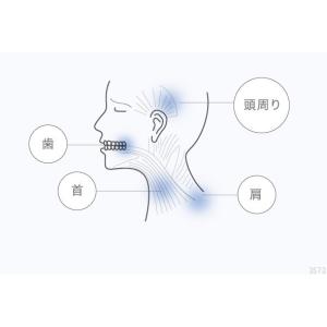 歯ぎしり マウスピース マウスガード 対策 歯...の詳細画像4