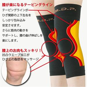 レミントン 膝サポーター Lサイズ 2枚入り 両ひざ分 (ひざ頭周囲 約