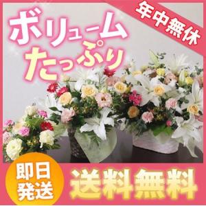 開店祝い 花 フラワーアレンジメント ギフト 生花 プレゼント 花 おまかせアレンジ 8000円税別