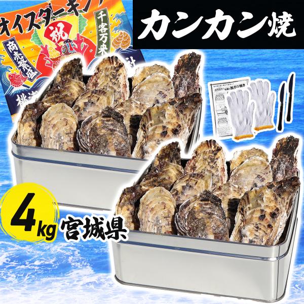 牡蠣カンカン焼き 2缶セット 4kg 30〜50個 冷凍 宮城県産 三陸 缶焼き かき カキ 殻付き...