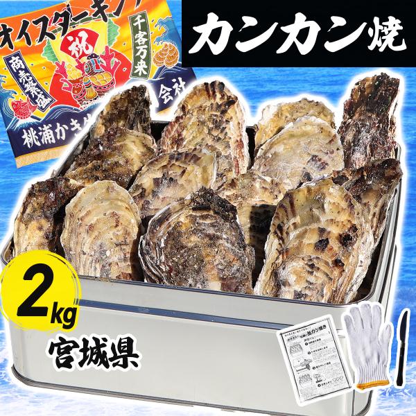 カンカン焼き 牡蠣 2kg 15〜20個 軍手・ナイフ付 冷凍 宮城県産 三陸 缶 缶焼き かき カ...