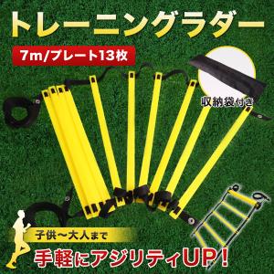 ラダー トレーニング 7m 13枚 サッカー バスケ テニス