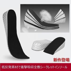 国内発送 インソール 3cm 中敷 シークレットインソール 身長高 身長アップ ヒールアップ 送料無料 ALL2-4｜vivikokoo