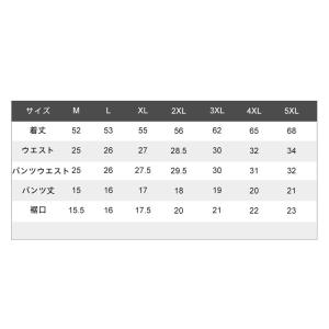 子供 水着 キッズ水着 女の子 水着 ワンピー...の詳細画像2