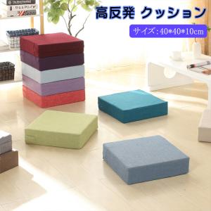 トゥルースリーパー（True Sleeper） お尻ラクラク座布団 腰痛 姿勢