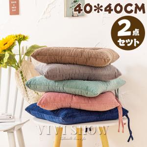 トゥルースリーパー（True Sleeper） 【正規品】新品 低反発座布団