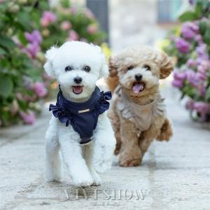 犬用 ハーネス リード セット フリル リード...の詳細画像4