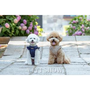 犬用 ハーネス リード セット フリル リード...の詳細画像5