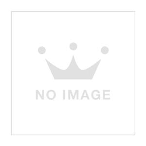 NEOGEO mini （ネオジオミニ）本体
