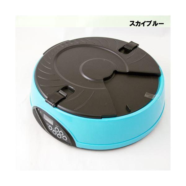 ITPROTECH オートペットフィーダー/スカイブルー YT-PF01-SB 業務用 まとめ買い ...