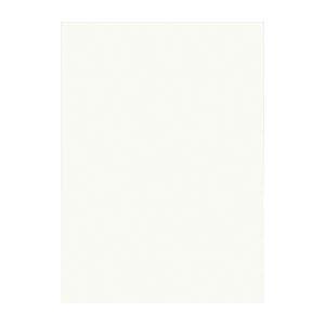 (まとめ) 文運堂 ニューカラーR 四ツ切 横392×縦542mm 4NCR-152 ミルク 100...
