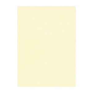 (まとめ) 文運堂 ニューカラーR 四ツ切 横392×縦542mm 4NCR-112 うすクリーム ...